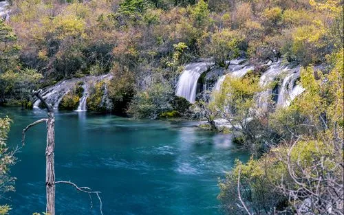 高效科技高端